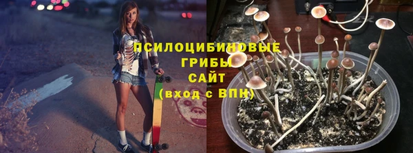PSILOCYBIN Ладушкин