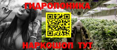 каннабис Гусиноозёрск