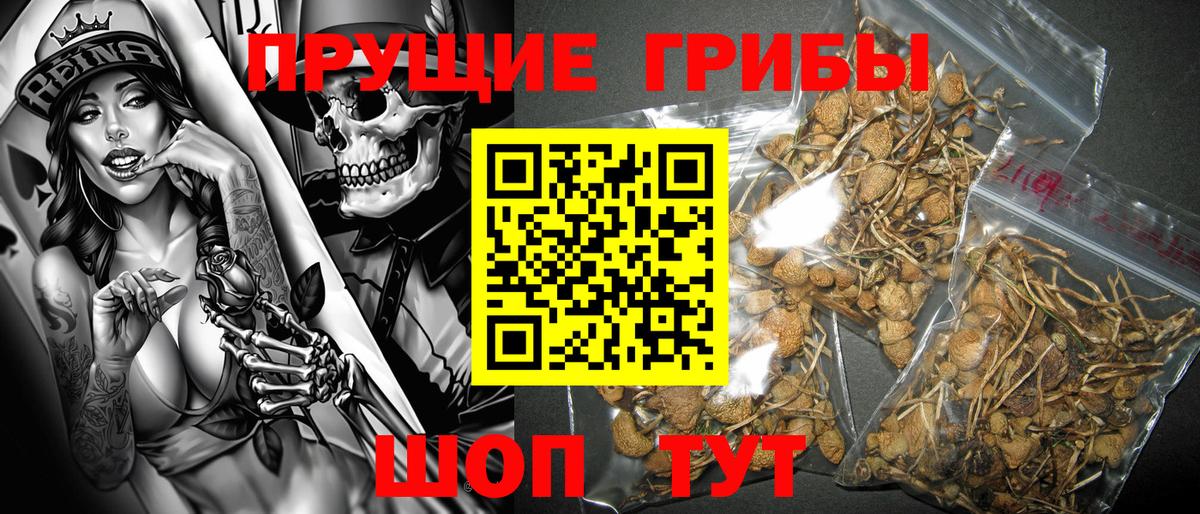 Галлюциногенные грибы мухоморы Луховицы