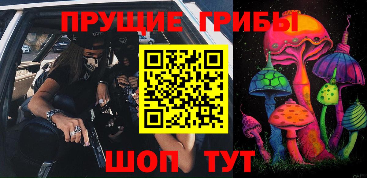 Галлюциногенные грибы Cubensis  Псилоцибиновые грибы мицелий  Вход с VPN  Луховицы 