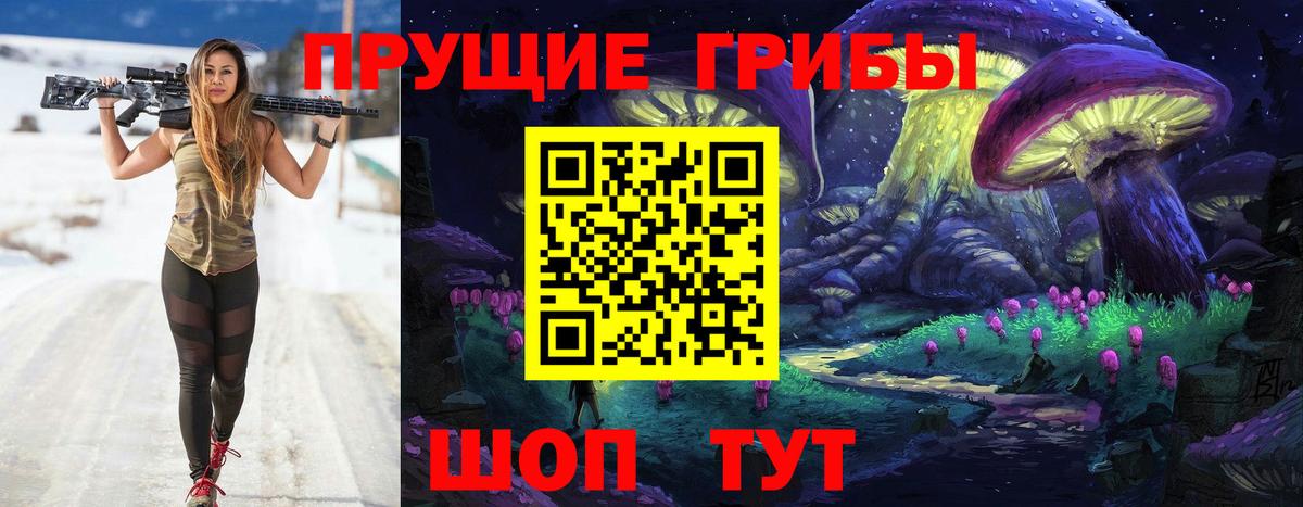 Псилоцибиновые грибы прущие грибы  Галлюциногенные грибы Psilocybe  Луховицы 